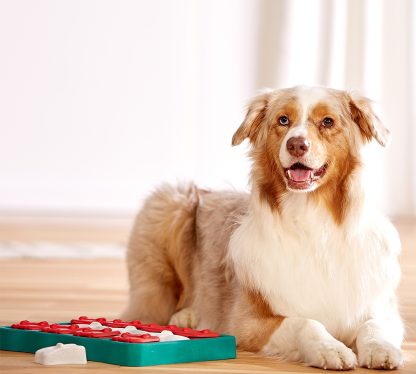 Nina Ottosson Dog Brick - interaktywna zabawka dla psa
